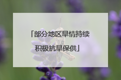 部分地区旱情持续 积极抗旱保供