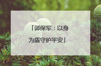 郭保军：以身为盾守护平安