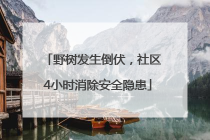 野树发生倒伏，社区4小时消除安全隐患