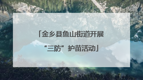 金乡县鱼山街道开展“三防”护苗活动