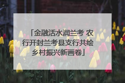 金融活水润兰考 农行开封兰考县支行共绘乡村振兴新画卷