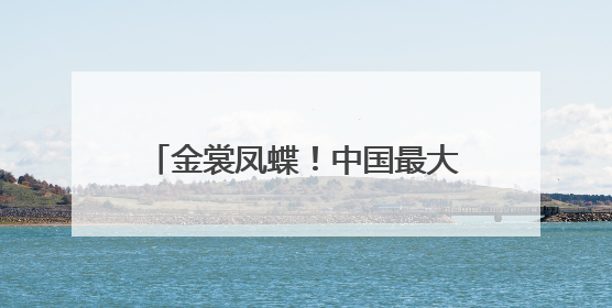 金裳凤蝶！中国最大蝴蝶现身四川广元