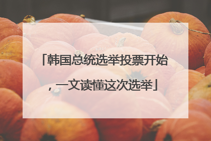 韩国总统选举投票开始，一文读懂这次选举