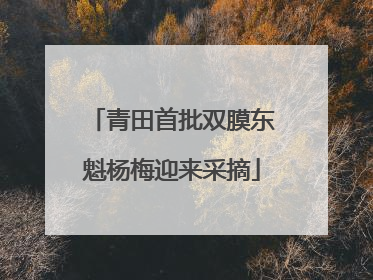 青田首批双膜东魁杨梅迎来采摘
