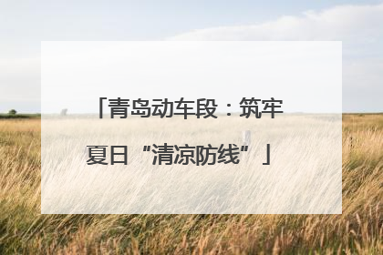 青岛动车段：筑牢夏日“清凉防线”
