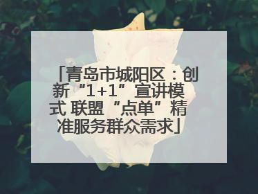 青岛市城阳区：创新“1+1”宣讲模式 联盟“点单”精准服务群众需求