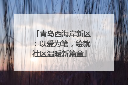 青岛西海岸新区：以爱为笔，绘就社区温暖新篇章