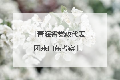 青海省党政代表团来山东考察