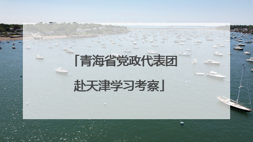 青海省党政代表团赴天津学习考察