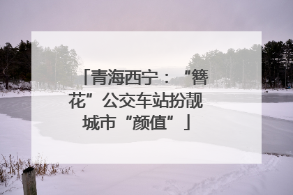 青海西宁：“簪花”公交车站扮靓城市“颜值”