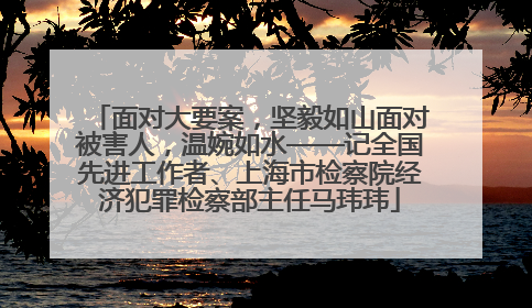 面对大要案，坚毅如山面对被害人，温婉如水——记全国先进工作者、上海市检察院经济犯罪检察部主任马玮玮