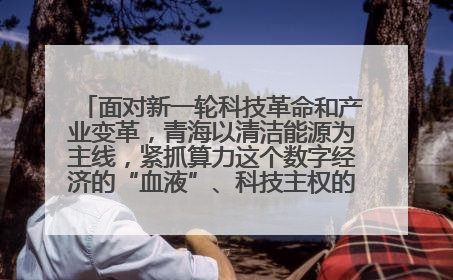 面对新一轮科技革命和产业变革，青海以清洁能源为主线，紧抓算力这个数字经济的“血液”、科技主权的“筹码”、产业升级的“杠杆”、绿色转型的“支点”，勇于撬动国家“双碳”战略、“东数西算”工程重大发展新机遇，点亮绿色算电协同新赛道，蹚出一条符合本地实际的高质量发展之路——青海：“绿色算力” 锚定“东数西算”国家战略布局