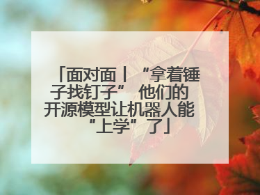 面对面丨“拿着锤子找钉子” 他们的开源模型让机器人能“上学”了