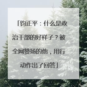 钧正平：什么是政治干部的好样子？被全网赞扬的他，用行动作出了回答