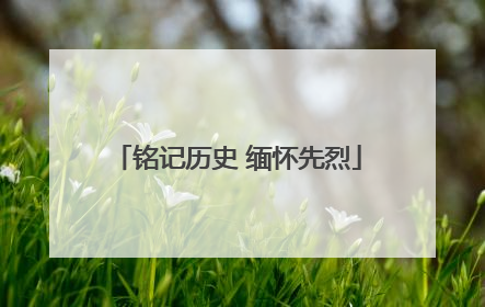 铭记历史 缅怀先烈