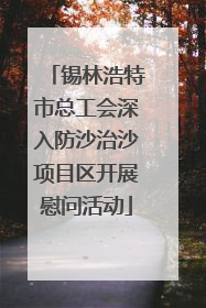 锡林浩特市总工会深入防沙治沙项目区开展慰问活动