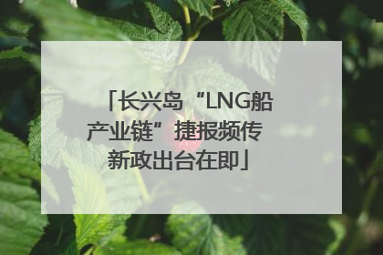 长兴岛“LNG船产业链”捷报频传 新政出台在即