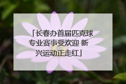 长春办首届匹克球专业赛事受欢迎 新兴运动正走红