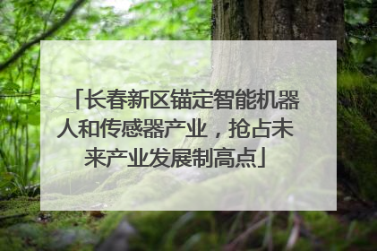 长春新区锚定智能机器人和传感器产业，抢占未来产业发展制高点