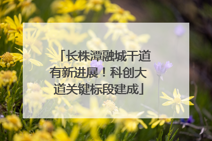 长株潭融城干道有新进展！科创大道关键标段建成