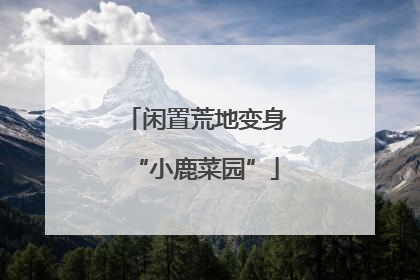 闲置荒地变身“小鹿菜园”