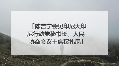 陈吉宁会见印尼大印尼行动党秘书长、人民协商会议主席穆扎尼