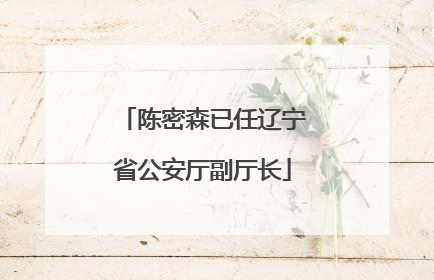 陈密森已任辽宁省公安厅副厅长