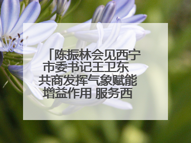 陈振林会见西宁市委书记王卫东 共商发挥气象赋能增益作用 服务西宁经济社会高质量发展