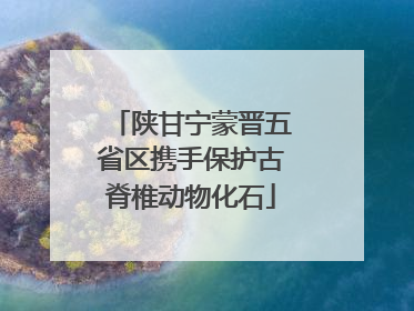 陕甘宁蒙晋五省区携手保护古脊椎动物化石