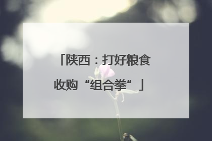 陕西：打好粮食收购“组合拳”