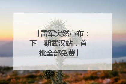 雷军突然宣布：下一期武汉站，首批全部免费