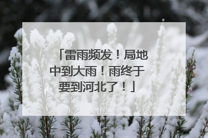 雷雨频发！局地中到大雨！雨终于要到河北了！