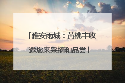 雅安雨城：黄桃丰收 邀您来采摘和品尝