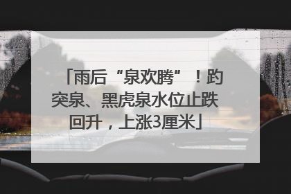 雨后“泉欢腾”！趵突泉、黑虎泉水位止跌回升，上涨3厘米