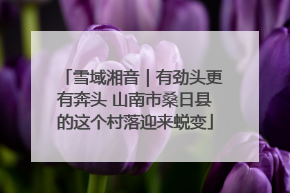 雪域湘音｜有劲头更有奔头 山南市桑日县的这个村落迎来蜕变