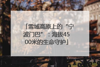 雪域高原上的“宁波门巴”：海拔4500米的生命守护
