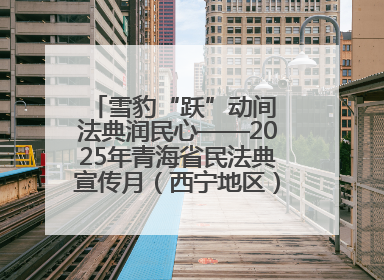 雪豹“跃”动间 法典润民心——2025年青海省民法典宣传月（西宁地区）主场活动见闻