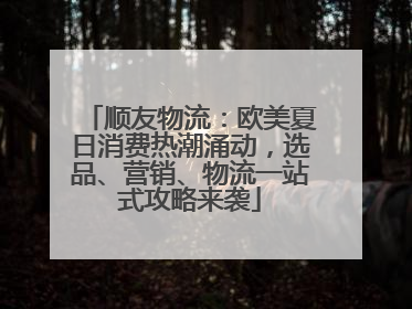 顺友物流：欧美夏日消费热潮涌动，选品、营销、物流一站式攻略来袭