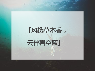 风携草木香，云伴碧空蓝