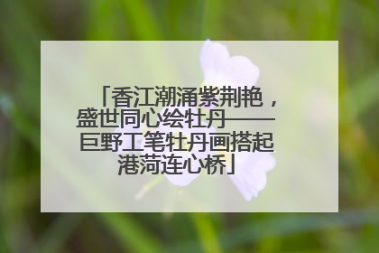 香江潮涌紫荆艳，盛世同心绘牡丹——巨野工笔牡丹画搭起港菏连心桥