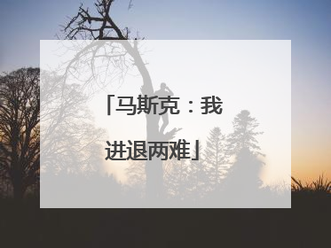 马斯克：我进退两难