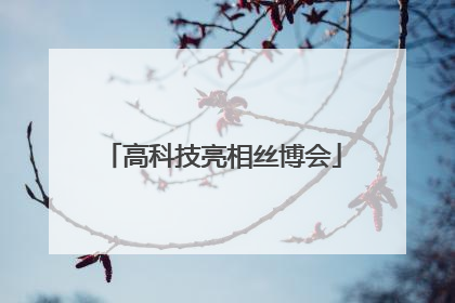 高科技亮相丝博会