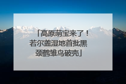 高原萌宝来了！若尔盖湿地首批黑颈鹤雏鸟破壳