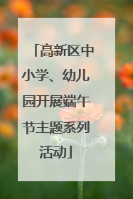 高新区中小学、幼儿园开展端午节主题系列活动