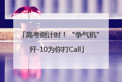 高考倒计时！“争气机”歼-10为你打Call