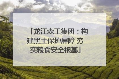 龙江森工集团：构建黑土保护屏障 夯实粮食安全根基