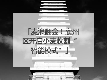 麦浪翻金！襄州区开启小麦收割“智能模式”