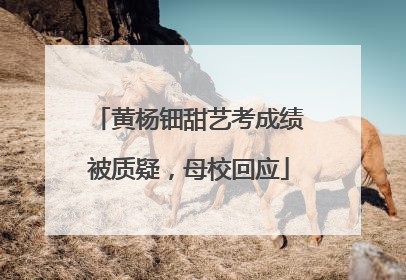 黄杨钿甜艺考成绩被质疑，母校回应