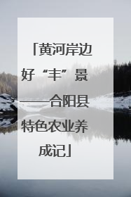 黄河岸边好“丰”景——合阳县特色农业养成记