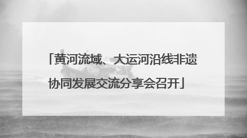 黄河流域、大运河沿线非遗协同发展交流分享会召开